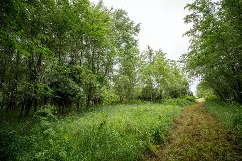 Other - 14992 Doty Rd, Pecatonica, IL 61063 photo 9 of 38