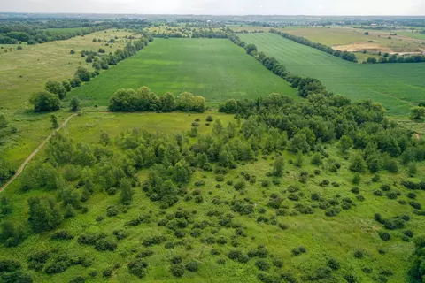 View/Area - 14992 Doty Rd, Pecatonica, IL 61063 photo 17 of 46