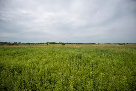 Other - 14992 Doty Rd, Pecatonica, IL 61063 photo 33 of 38