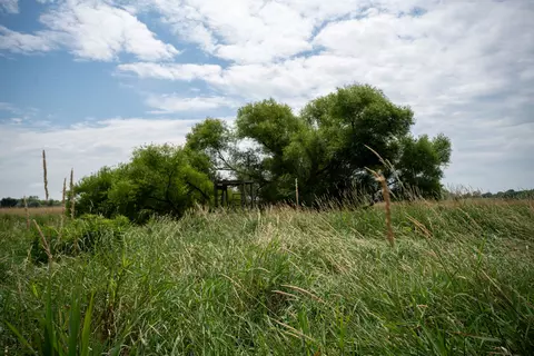 Other - 14992 Doty Rd, Pecatonica, IL 61063 photo 34 of 38