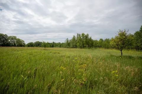 Other - 14992 Doty Rd, Pecatonica, IL 61063 photo 2 of 38