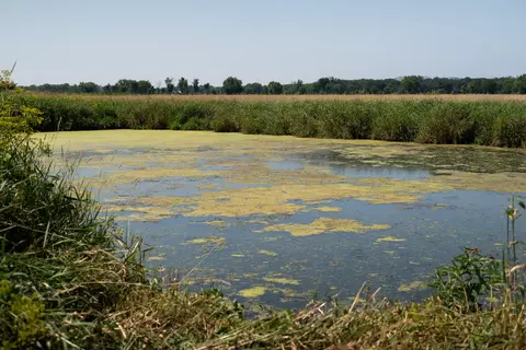 View/Area - 14992 Doty Rd, Pecatonica, IL 61063 photo 33 of 46