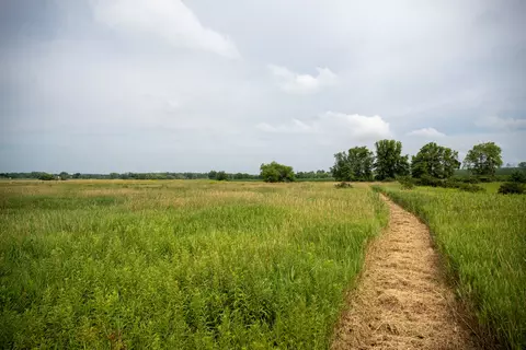 Other - 14992 Doty Rd, Pecatonica, IL 61063 photo 32 of 38