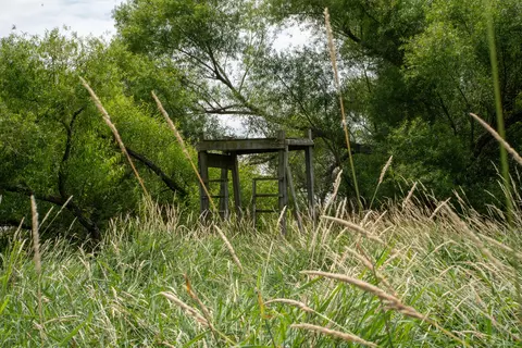 Other - 14992 Doty Rd, Pecatonica, IL 61063 photo 35 of 38