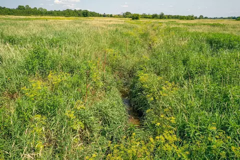 View/Area - 14992 Doty Rd, Pecatonica, IL 61063 photo 39 of 46