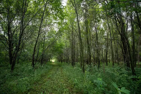 Other - 14992 Doty Rd, Pecatonica, IL 61063 photo 10 of 38