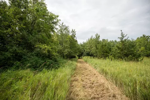 Other - 14992 Doty Rd, Pecatonica, IL 61063 photo 7 of 38