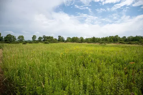 Other - 14992 Doty Rd, Pecatonica, IL 61063 photo 31 of 38