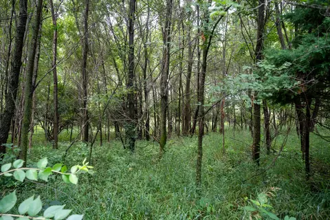 Other - 14992 Doty Rd, Pecatonica, IL 61063 photo 12 of 38