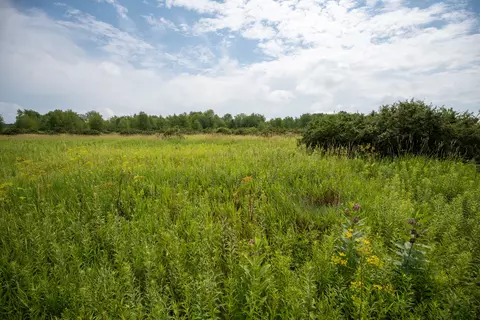 Other - 14992 Doty Rd, Pecatonica, IL 61063 photo 30 of 38