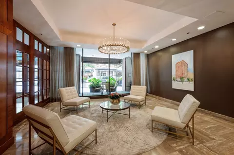 Living - 40 E Delaware Pl #305, Chicago, IL 60611 photo 1 of 5