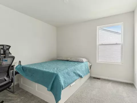 914 Daniel St, Plano, IL 60545 photo 15