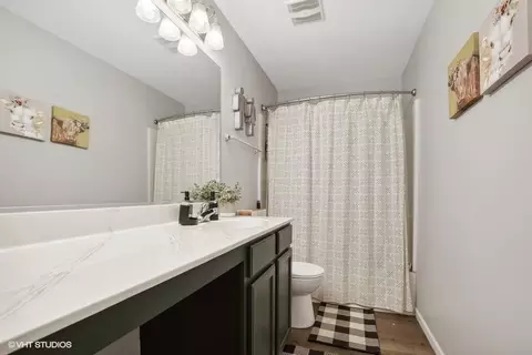380 Coneflower Dr, Minooka, IL 60447 photo 19