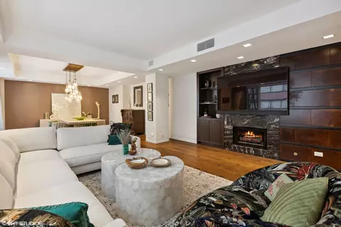 210 E Walton Pl #C, Chicago, IL 60611 photo 12