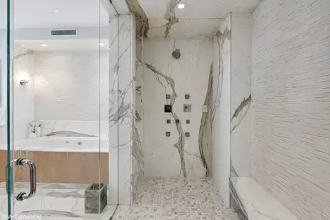 210 E Walton Pl #C, Chicago, IL 60611 photo 29