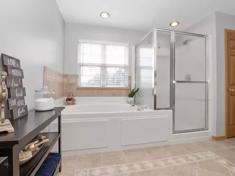 Bath - 4551 W Jonquil Ln, Monee, IL 60449 photo 3 of 4