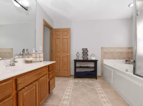 Bath - 4551 W Jonquil Ln, Monee, IL 60449 photo 2 of 4