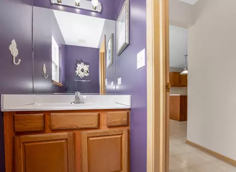 Bath - 4551 W Jonquil Ln, Monee, IL 60449 photo 1 of 4