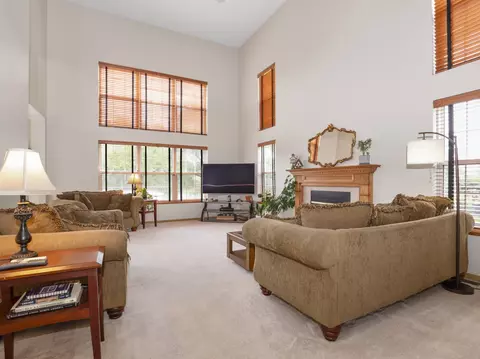 Living - 4551 W Jonquil Ln, Monee, IL 60449 photo 4 of 5