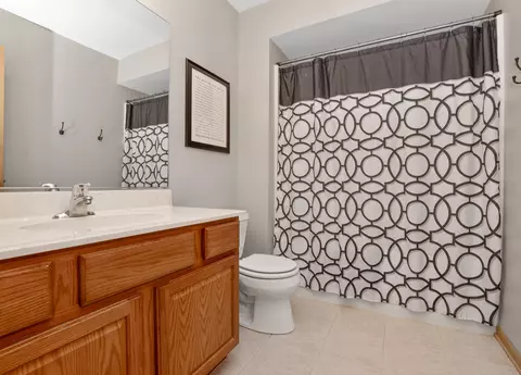 Bath - 4551 W Jonquil Ln, Monee, IL 60449 photo 4 of 4
