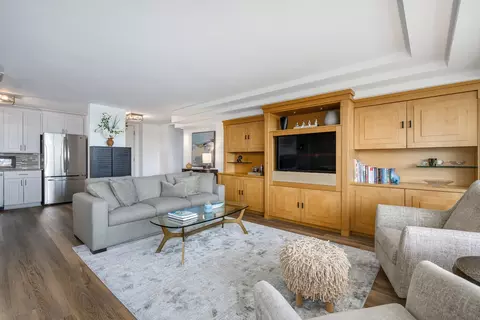 400 E Randolph St #2303, Chicago, IL 60601 photo 5