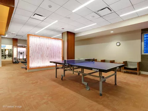400 E Randolph St #2303, Chicago, IL 60601 photo 31