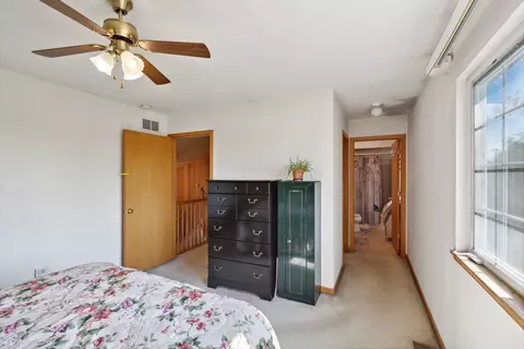 Other - 25710 S Violet Ln, Monee, IL 60449 photo 4 of 5