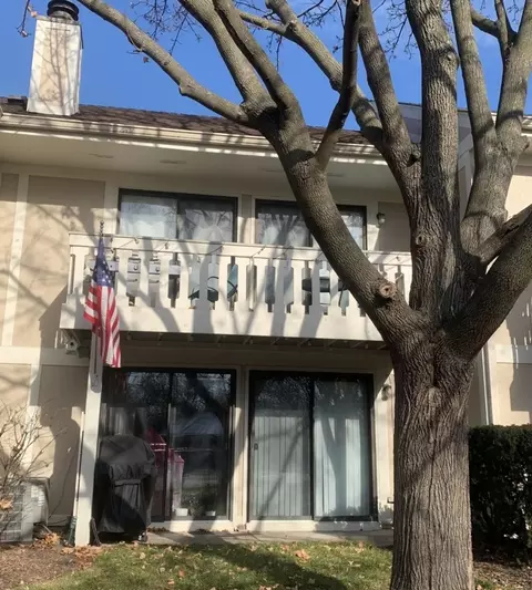 1117 Scanlon Dr #C2, Wheeling, IL 60090 photo 15