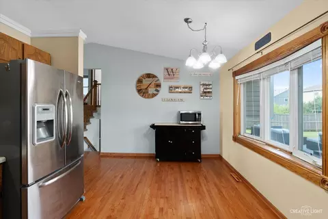 Other - 930 Mocassin Ct, Carol Stream, IL 60188 photo 6 of 7