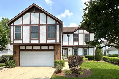 503 Crown Point Dr, Buffalo Grove, IL 60089