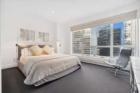270 E Pearson St #1302, Chicago, IL 60611 photo 20
