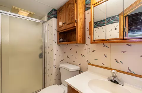 Bath - 18621 Burnham Ave, Lansing, IL 60438 photo 2 of 2