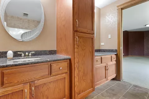 Bath - 3601 W Pinewood Dr, Monee, IL 60449 photo 5 of 5