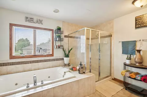 Bath - 26176 S Countyfair Dr, Monee, IL 60449 photo 3 of 4