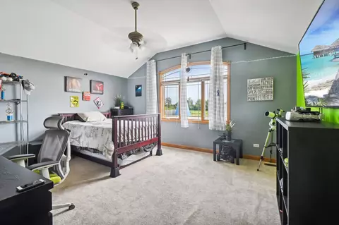 Other - 26176 S Countyfair Dr, Monee, IL 60449 photo 5 of 11