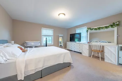 1562 Apache Dr, Naperville, IL 60563 photo 21