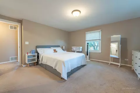 1562 Apache Dr, Naperville, IL 60563 photo 20