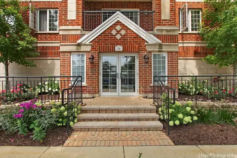 124 W Colfax St #209, Palatine, IL 60067