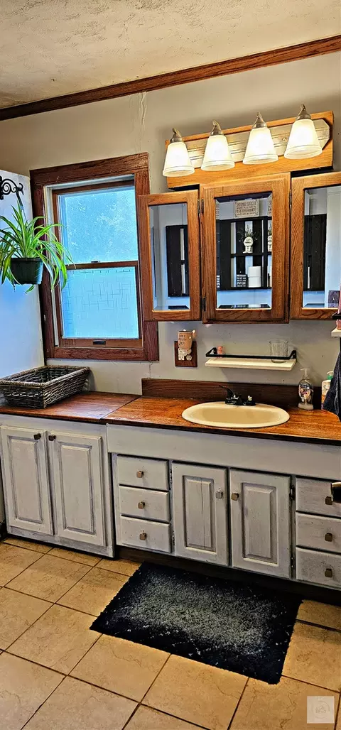 Bath - 415 W 4th St, Lostant, IL 61334 photo 3 of 4