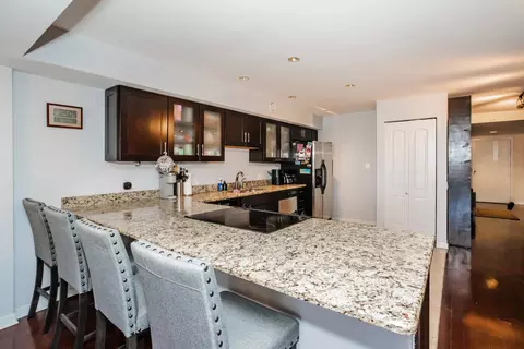 40 E 9th St #1117, Chicago, IL 60605 photo 5