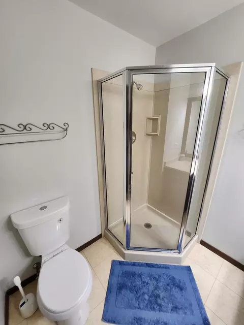 Bath - 887 Braintree Ln, Bartlett, IL 60103 photo 6 of 7