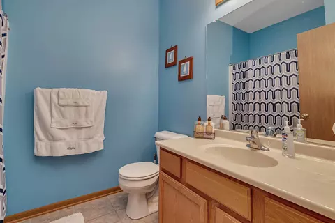 1865 Sunset Ln, Morris, IL 60450 photo 20