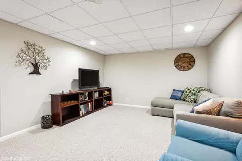 455 Harvard Ln, Bartlett, IL 60103 photo 18