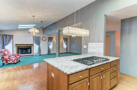 457 Fall Cir, Roselle, IL 60172 photo 24