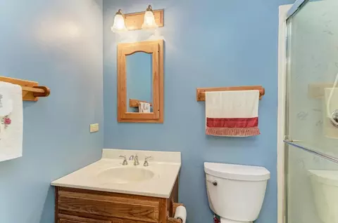 457 Fall Cir, Roselle, IL 60172 photo 10
