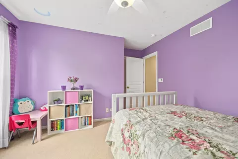 24115 Newcastle St, Plainfield, IL 60585 photo 34