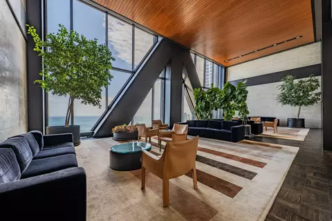 175 E Delaware Pl #4604, Chicago, IL 60611 photo 36