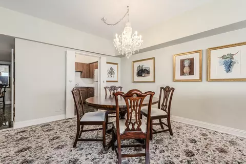 175 E Delaware Pl #4604, Chicago, IL 60611 photo 7