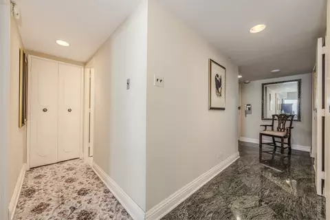 175 E Delaware Pl #4604, Chicago, IL 60611 photo 5