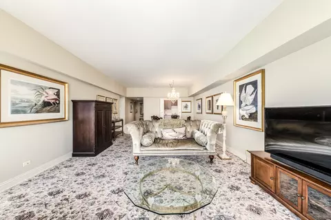 175 E Delaware Pl #4604, Chicago, IL 60611 photo 9